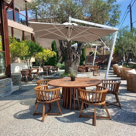 Ayia Marina Suites Ouranoupoli Extérieur photo